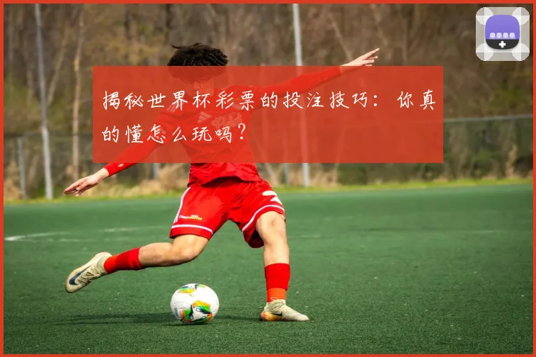 揭秘世界杯彩票的投注技巧:你真的懂怎么玩吗?