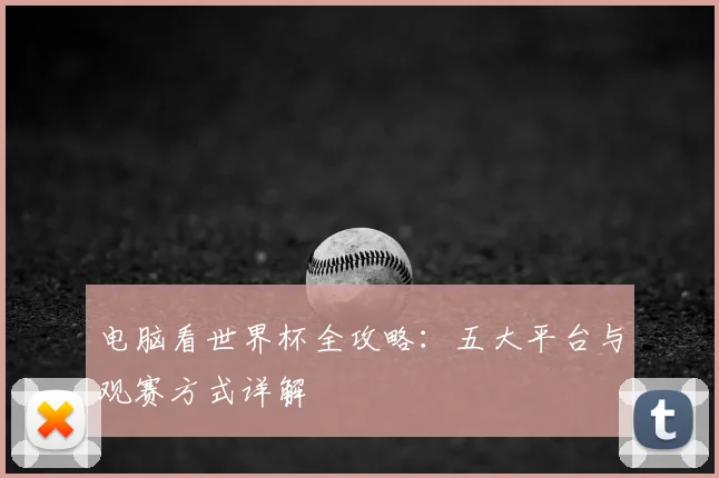 电脑看世界杯全攻略：五大平台与观赛方式详解
