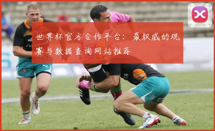 世界杯官方合作平台:最权威的观赛与数据查询网站推荐