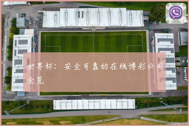 世界杯:安全可靠的在线博彩公司全览