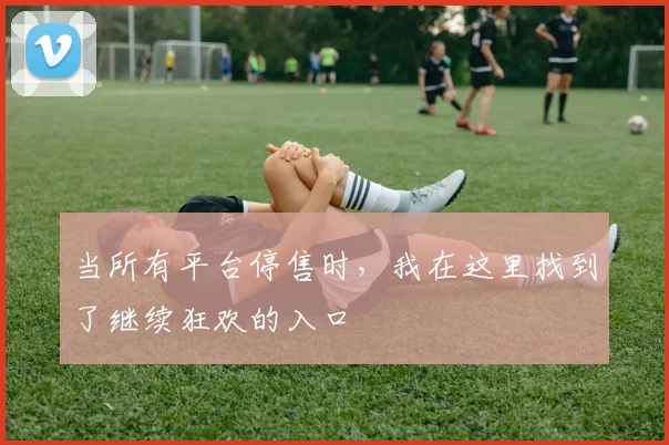 当所有平台停售时,我在这里找到了继续狂欢的入口