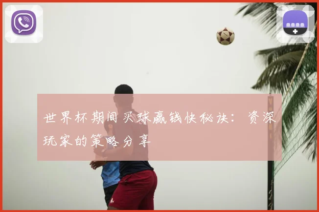 世界杯期间买球赢钱快秘诀:资深玩家的策略分享
