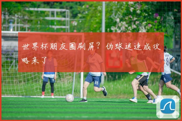 世界杯朋友圈刷屏?伪球迷速成攻略来了