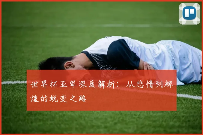 世界杯亚军深度解析:从悲情到辉煌的蜕变之路