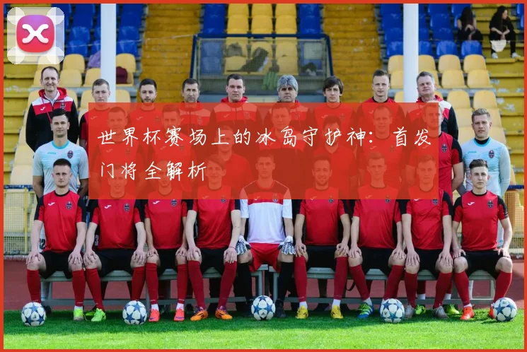 世界杯赛场上的冰岛守护神:首发门将全解析