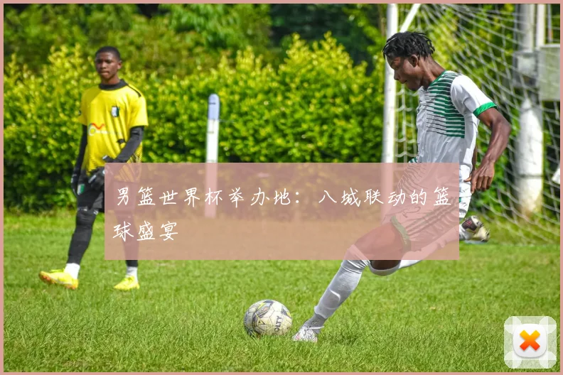 男篮世界杯举办地:八城联动的篮球盛宴