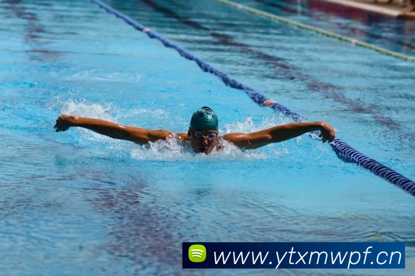 hth.com网页版发展历程